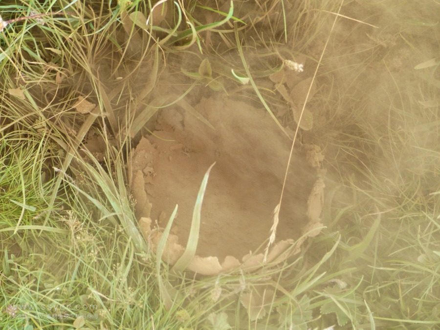 顆粒物在線監(jiān)測(cè)技術(shù)